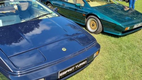 2021 Cars at the Castle - Hever Castle